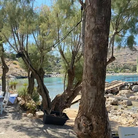Lägenhet Avli View